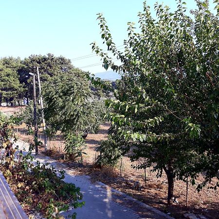 Can Efes Hotel Selçuk Kültér fotó