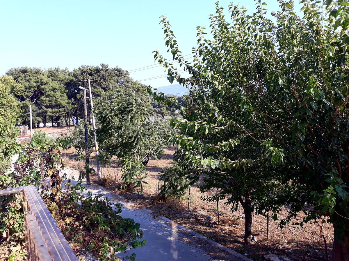 Can Efes Hotel Selçuk Kültér fotó